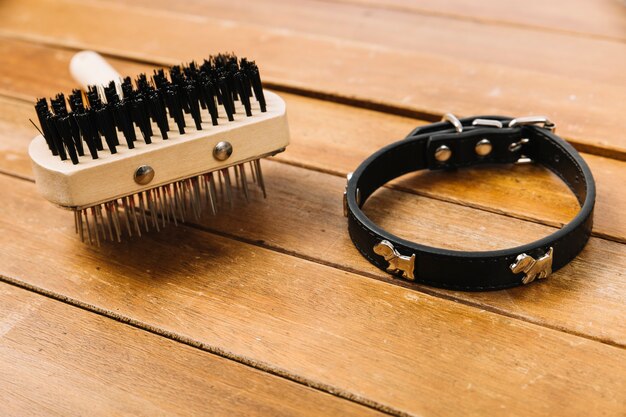 Jak wybrać idealne akcesoria dla psów o długim tułowiu?